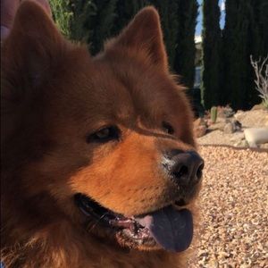 Meet your Posher, Andrew